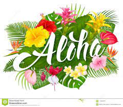 Aloha Ladies